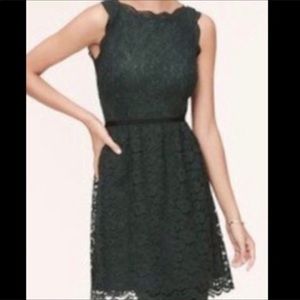 Ann Taylor Loft Dark Green Lace Dress